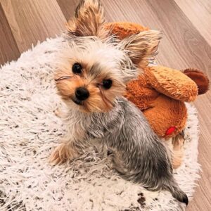 Charlie